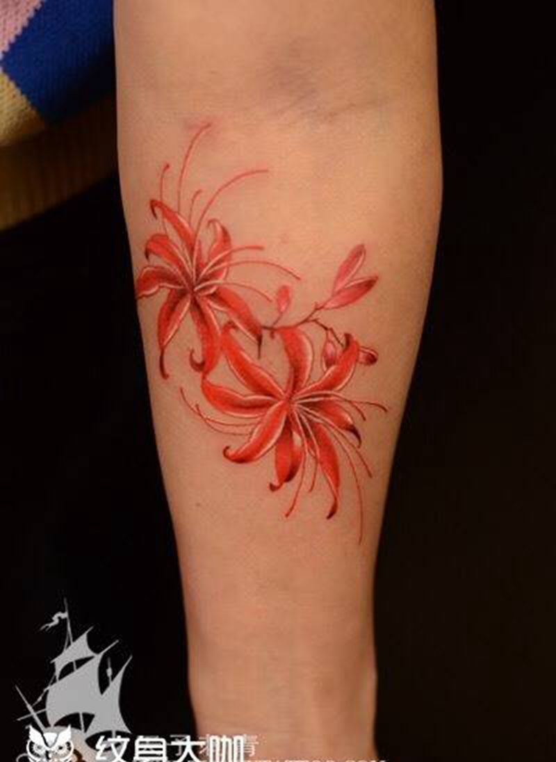 西安天予刺青彩色作品合集纹身图片_西安彩色动物植物原创成品清新纹身图案