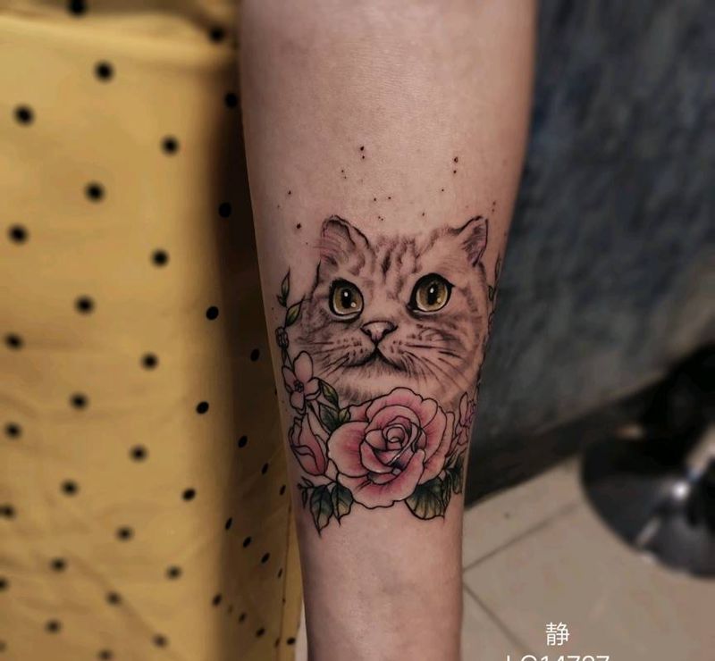 猫纹身图片_手臂纹身图案