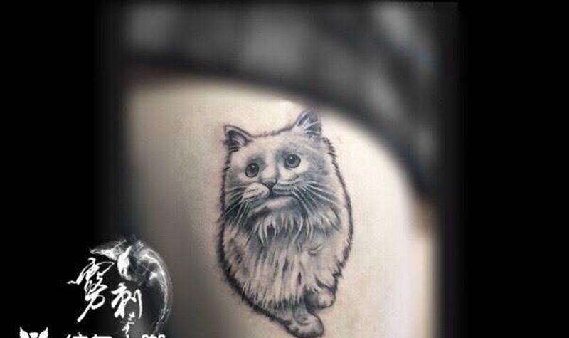 小喵咪纹身图片