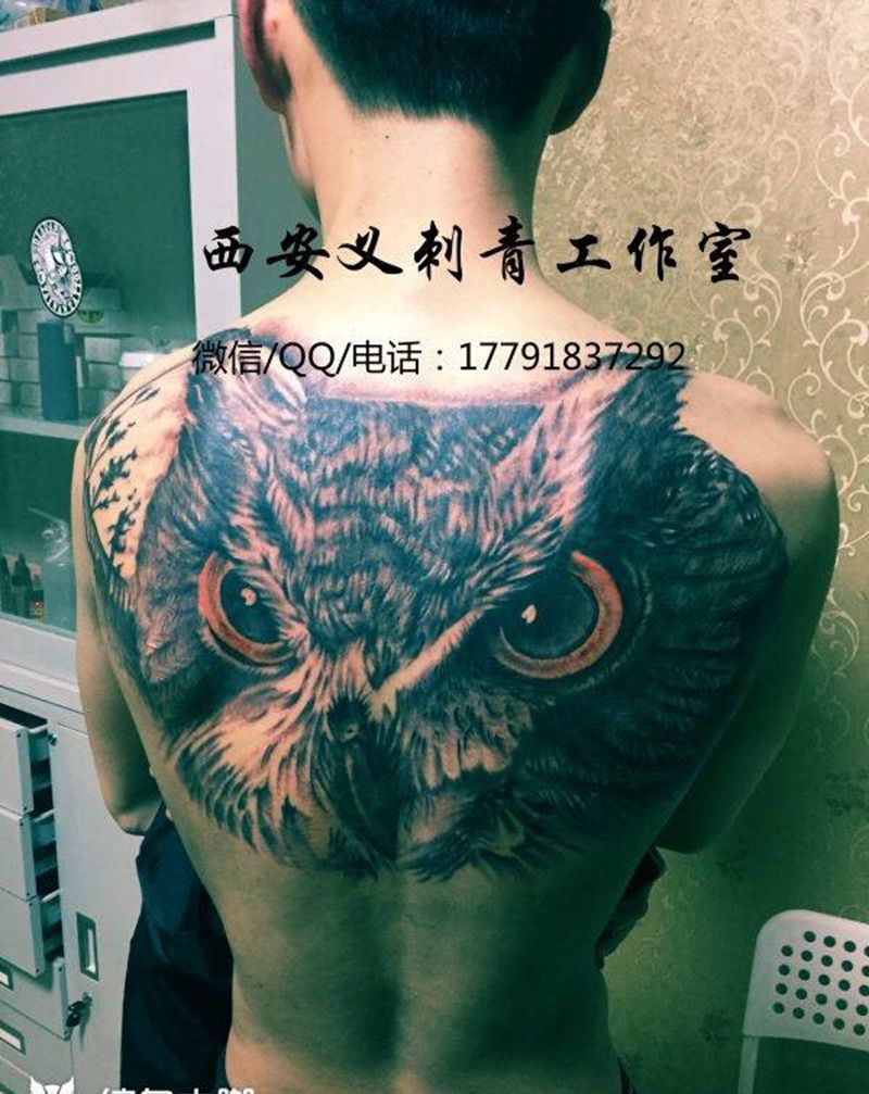 写实猫头鹰纹身图片_成品写实背部原创纹身图案