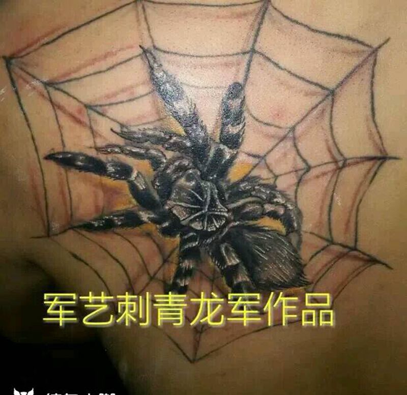 3d立体蜘蛛纹身图片_肩部纹身图案