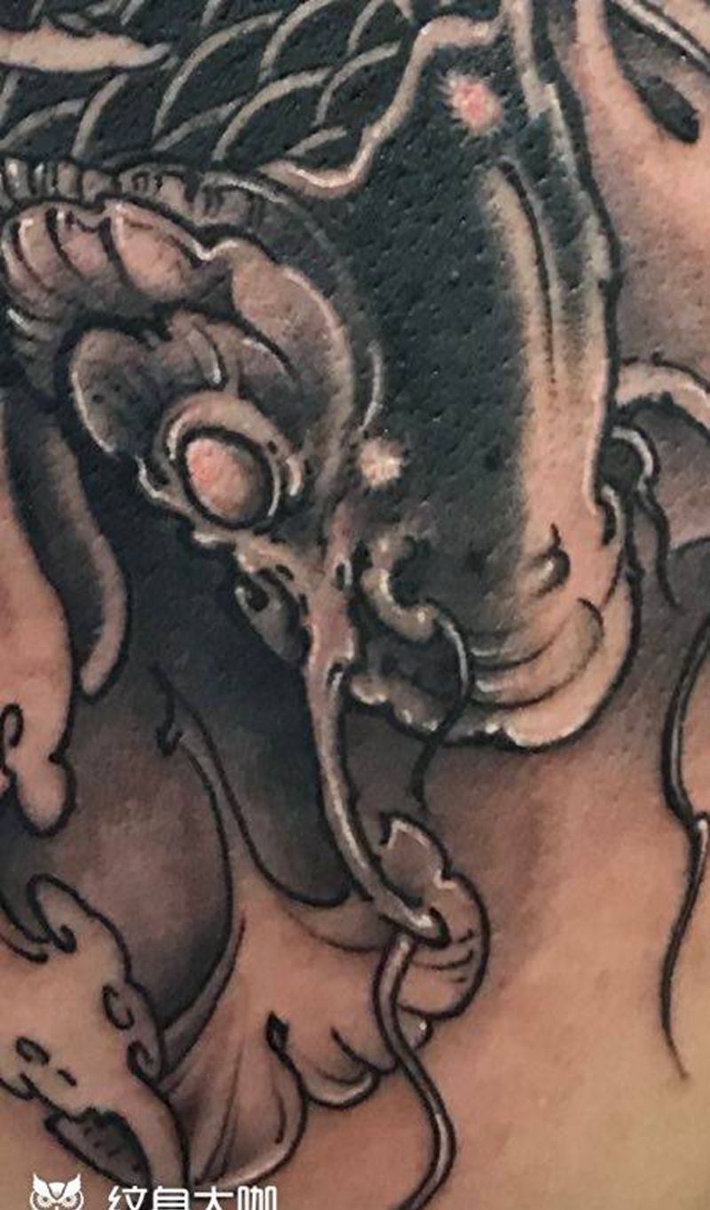 鱼纹身图片_西安西安刺青修改传统动物背部成品手稿纹身图案