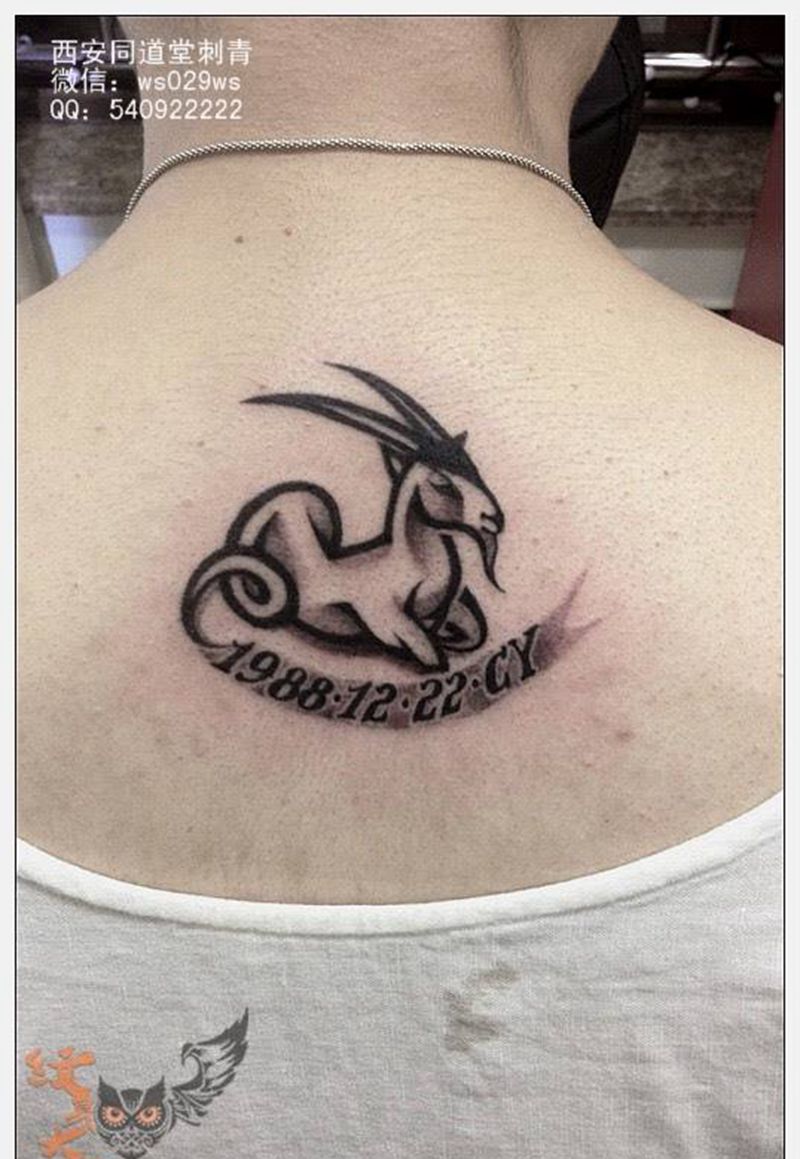 西安纹身#同道堂小纹身纹身图片_字符动物植物几何清新传统欧美背部西安西安刺青纹身图案