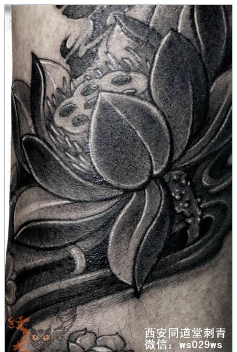 荷花小腿纹身纹身图片_传统国画植物宗教图腾原创腿部脚部纹身图案