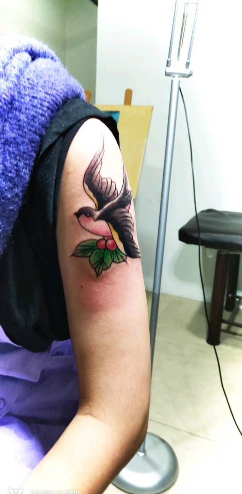 女士燕子纹身图片