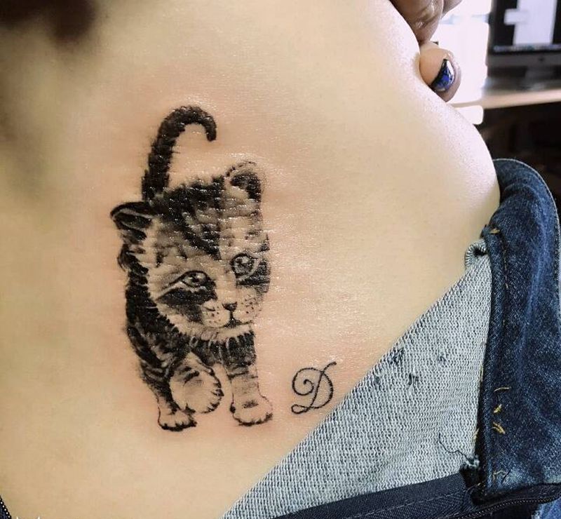 写实猫咪纹身图片_腰部写实动物纹身图案