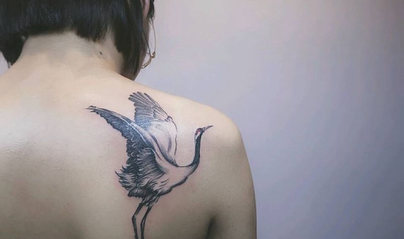 鹤纹身图片