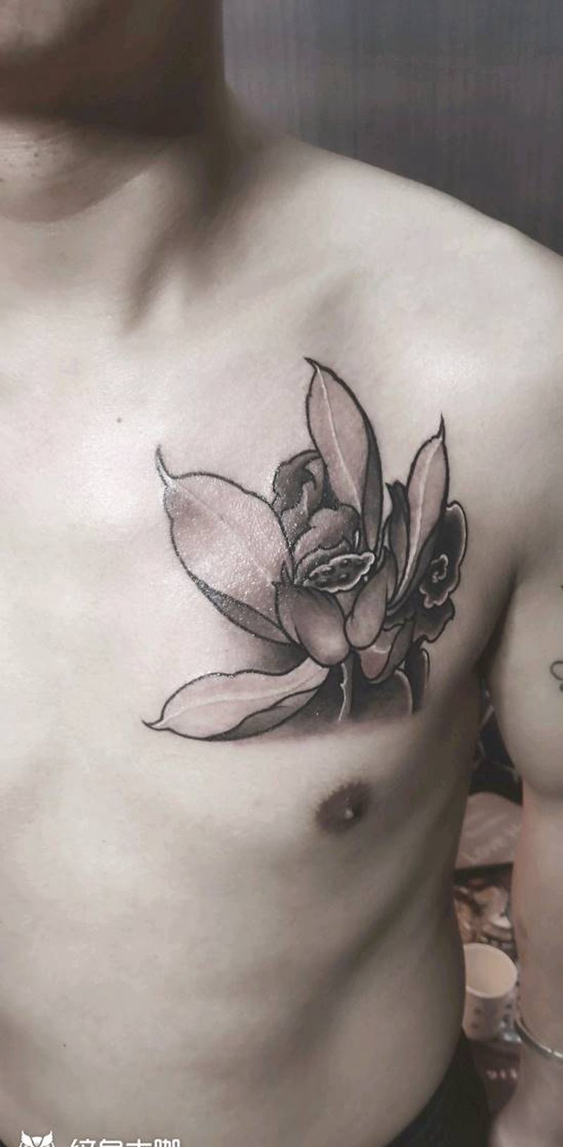 荷花纹身图片_胸部纹身图案