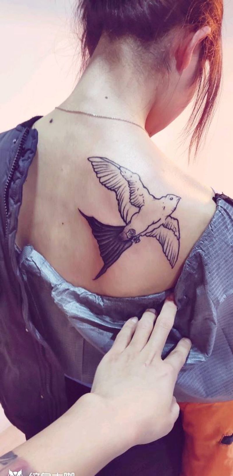 未完成燕子下次继续纹身图片