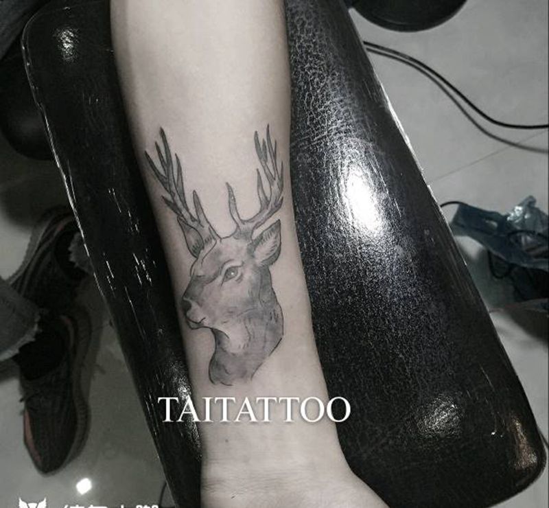 Deer tattoo纹身图片