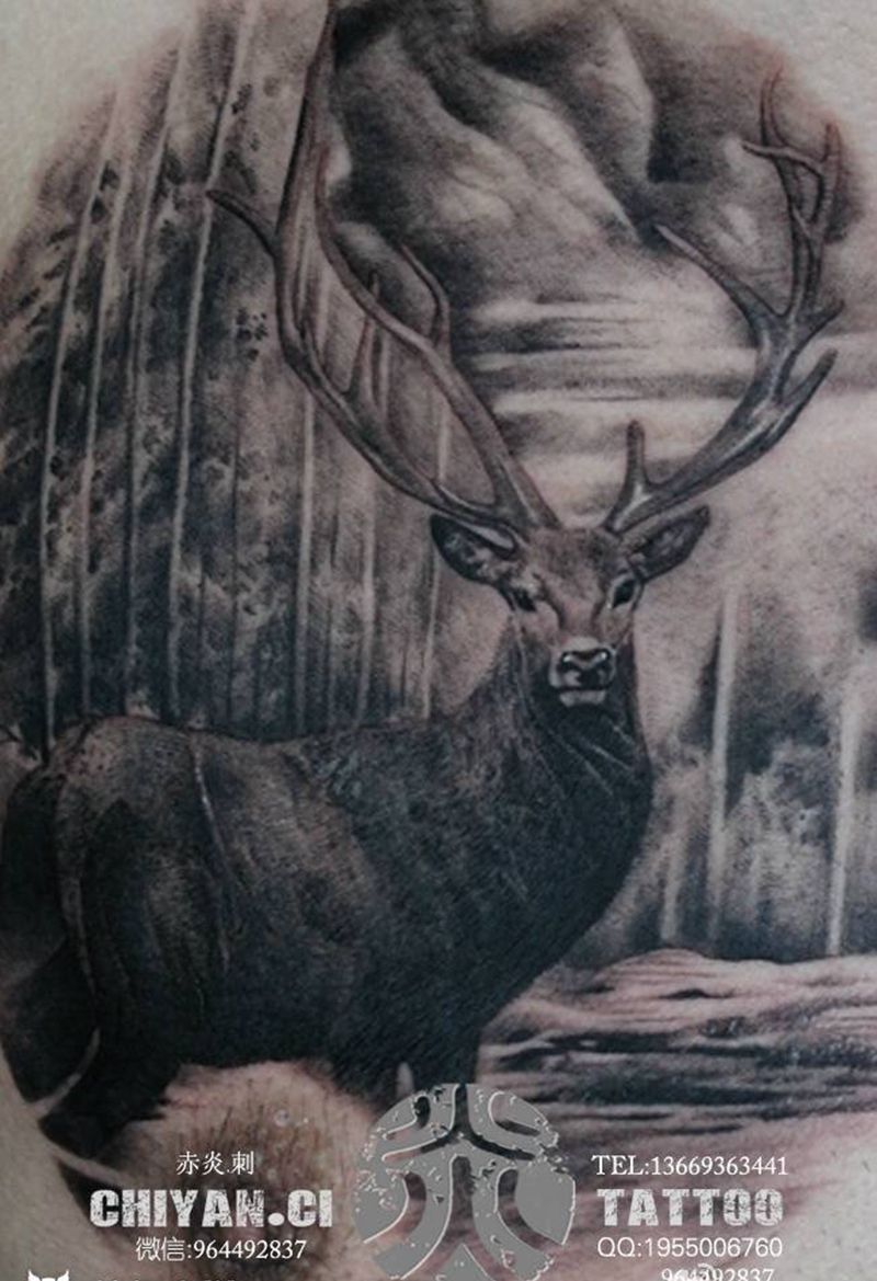 鹿，靳凯作品纹身图片