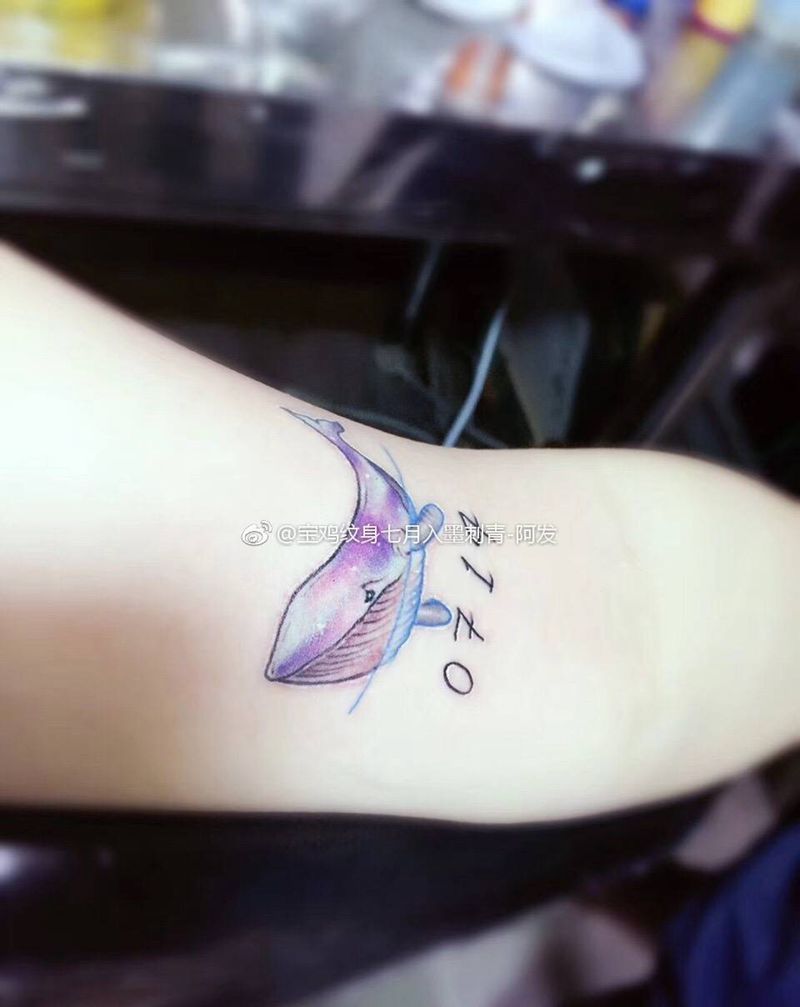 鲸鱼 小清新纹身图片