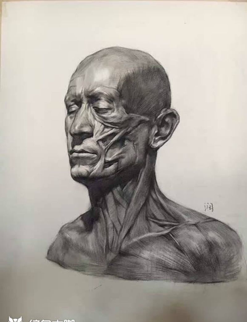 润刺青素描作品#肌肉结构#纹身图片