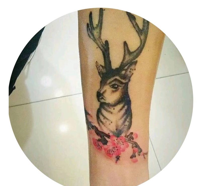 鹿纹身图片_手臂鹿头纹身图案