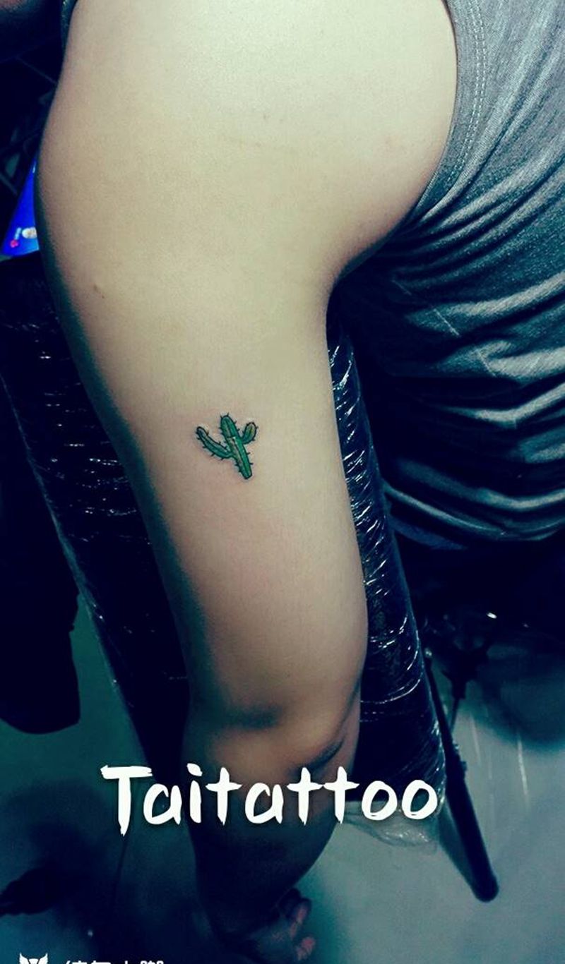 傣刺青~仙人掌纹身纹身图片