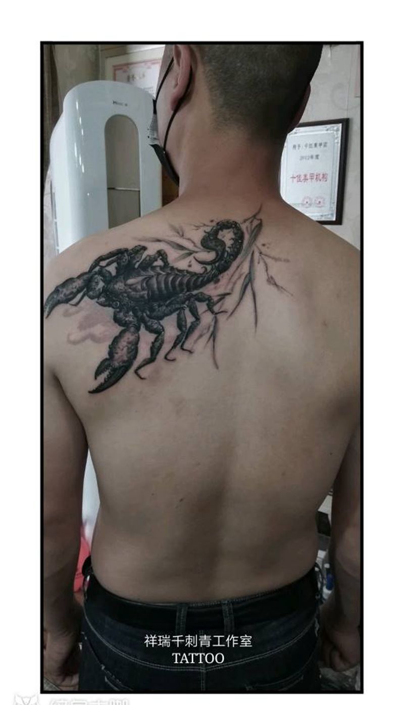 蝎子纹身图片_背部肩部欧美写实蝎子 昆虫写实纹身图案