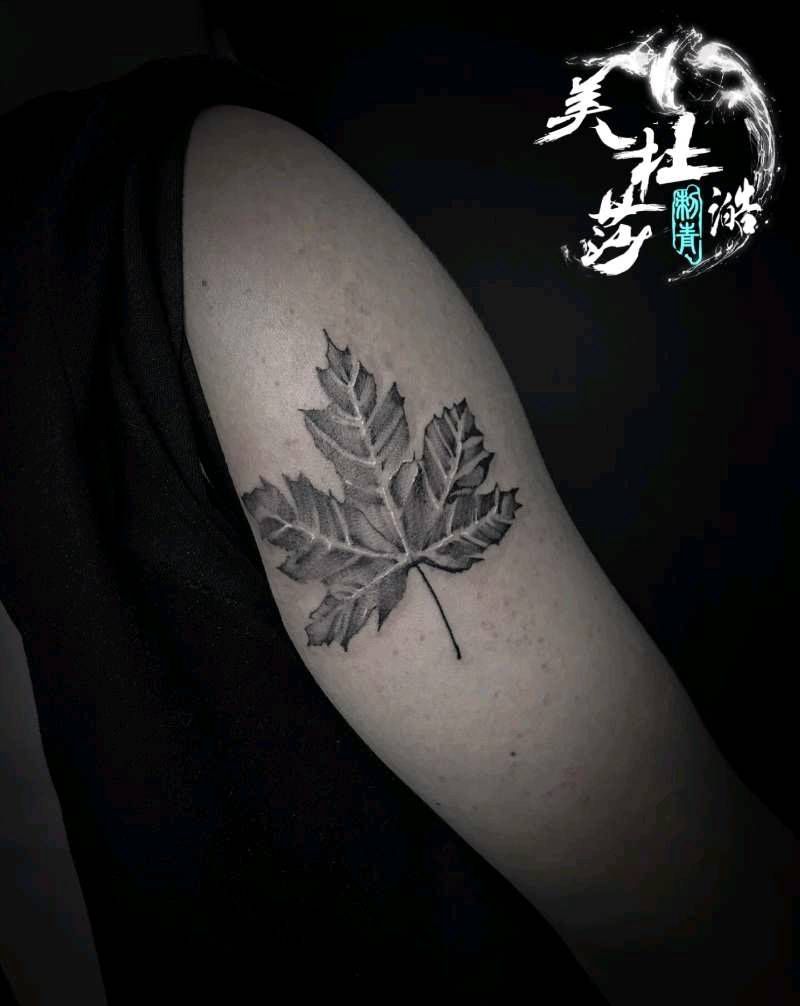 枫叶纹身图片