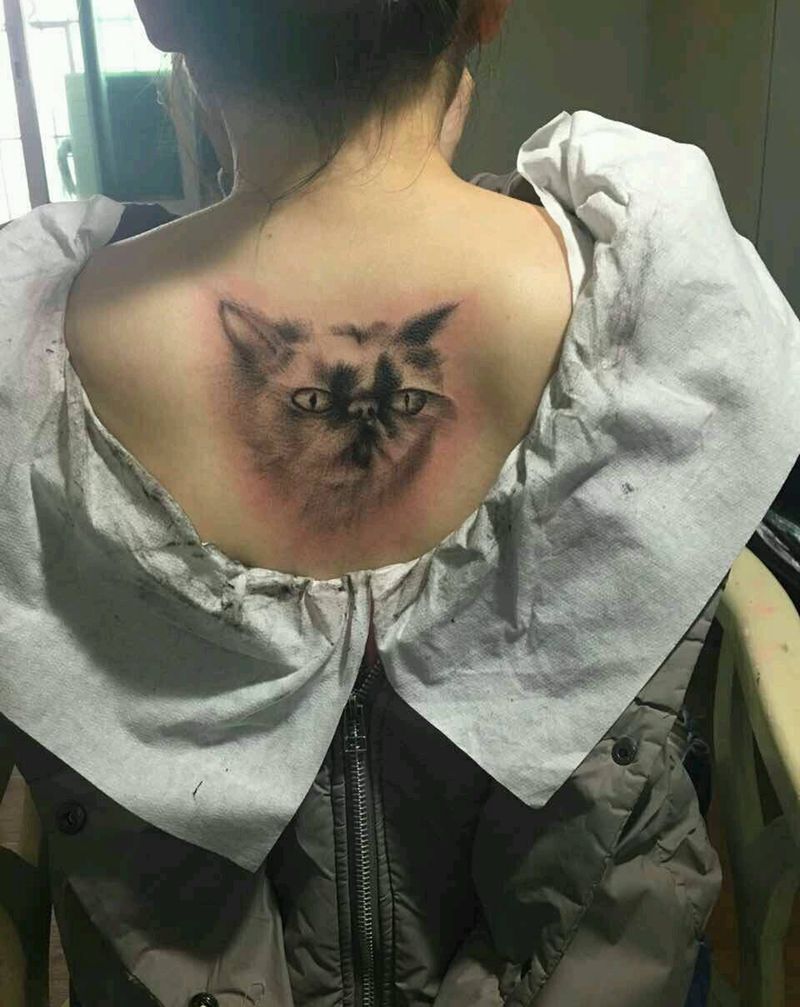 她们家的猫纹身图片