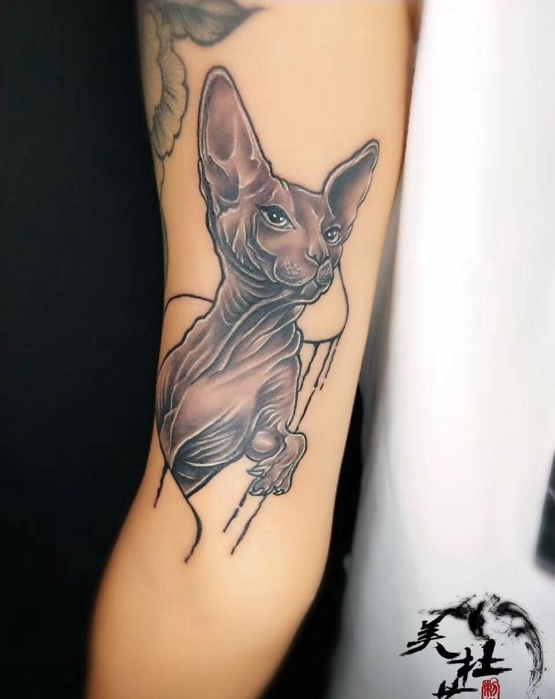 斯芬克斯。纹身图片_成品手臂清新动物原创纹身图案