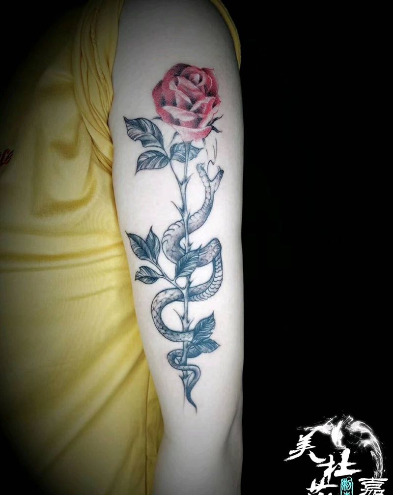 玫瑰&蛇纹身图片_手臂欧美写实纹身图案