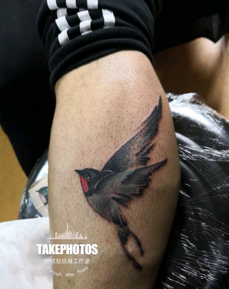 燕子纹身图片_腿部燕子纹身图案