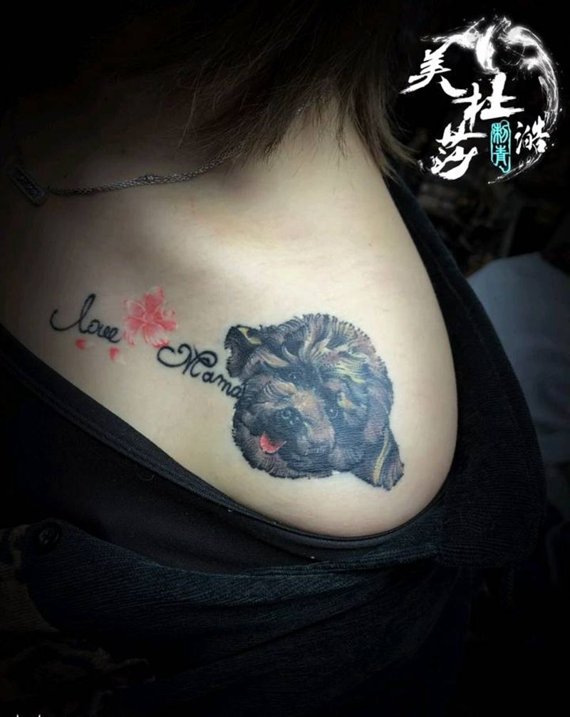 泰迪小狗纹身图片