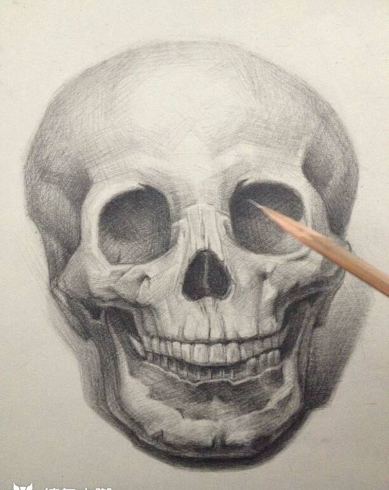 骷髅头纹身图片