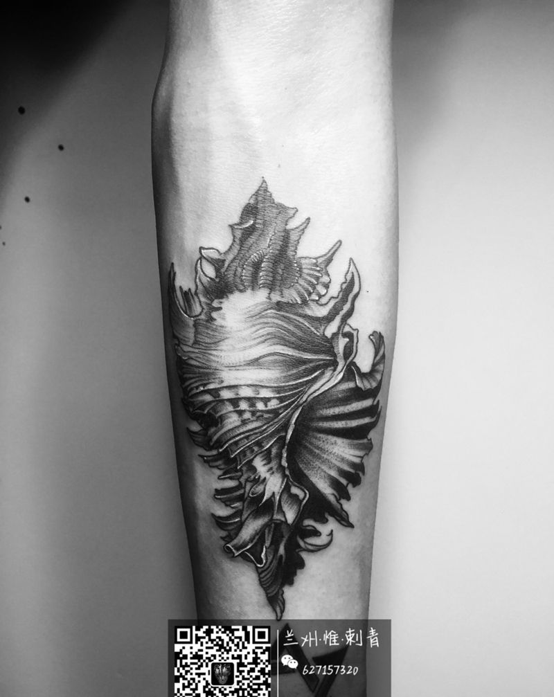 海螺纹身图片_成品手臂欧美静物纹身图案