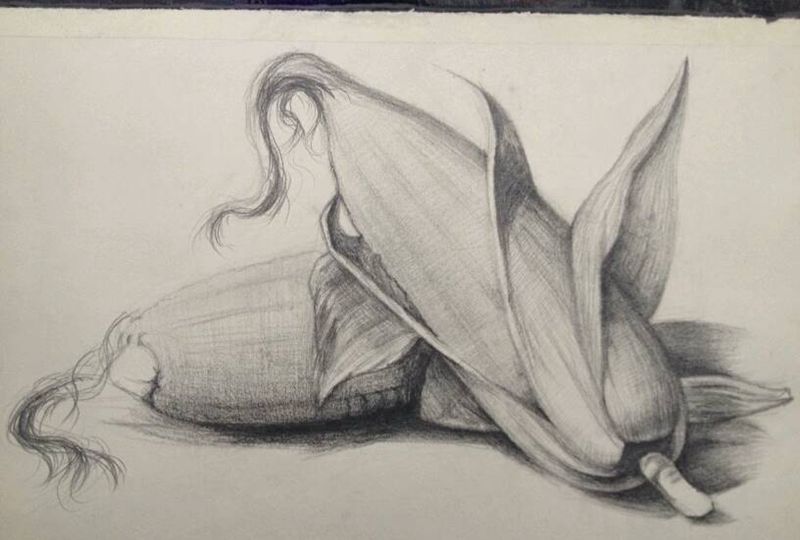 素描玉米纹身图片
