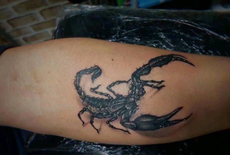 蝎子纹身图片_手臂新传统纹身图案