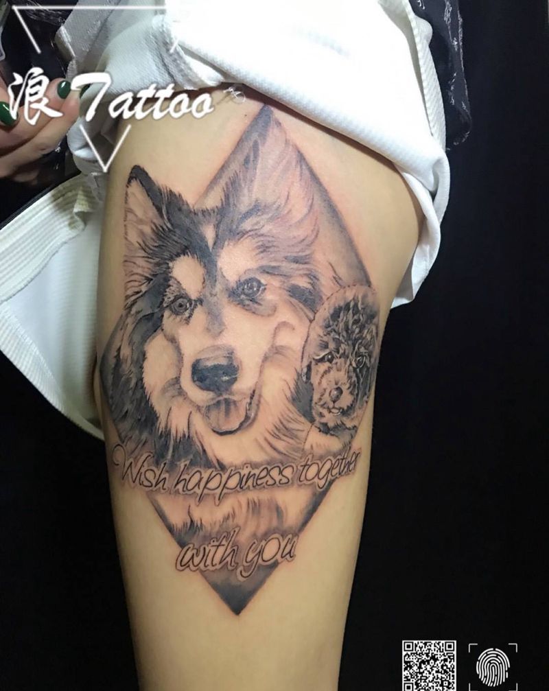 宠物纹身图片