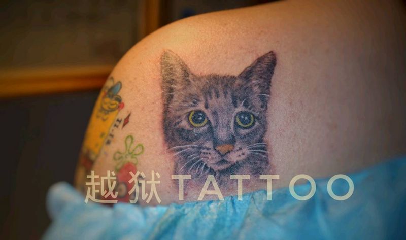 猫咪纹身图片_手臂纹身图案
