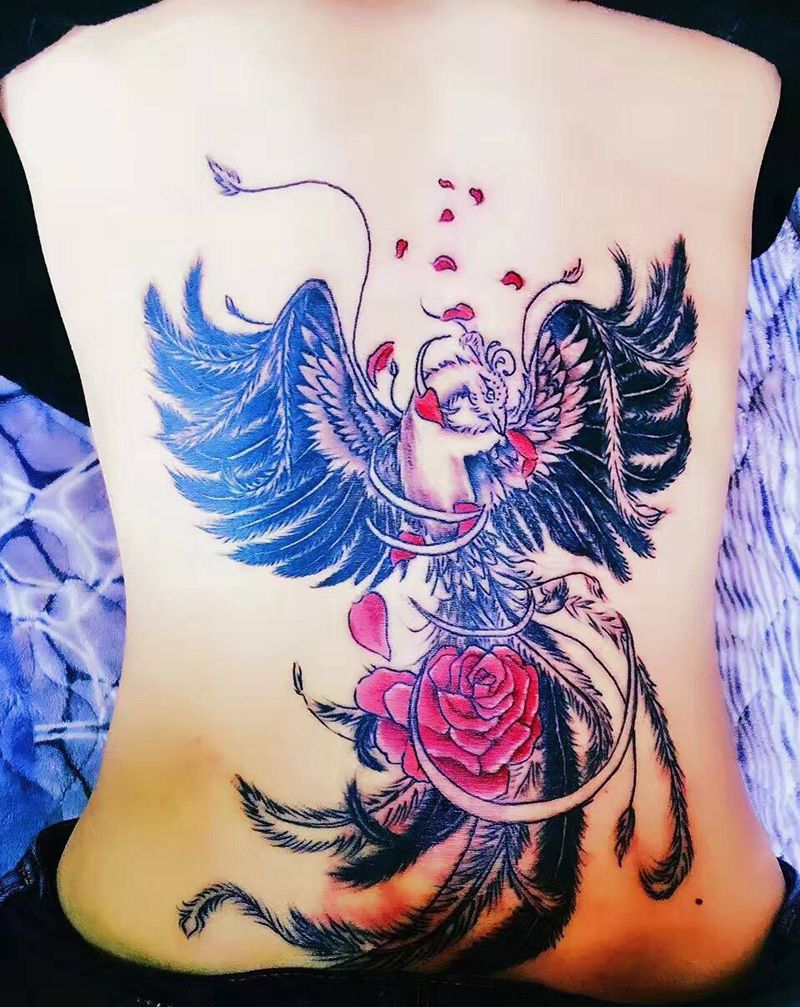 凤凰•纹身图片