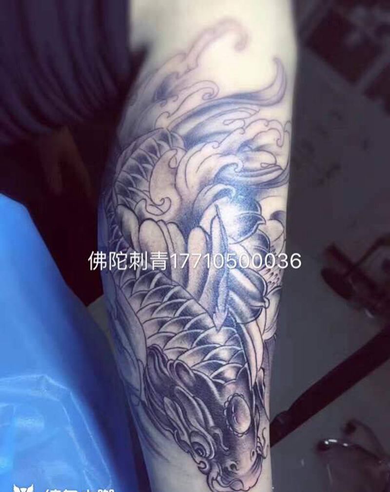 小腿锦鲤纹身图片_手稿腿部传统动物银川 宁夏纹身图案