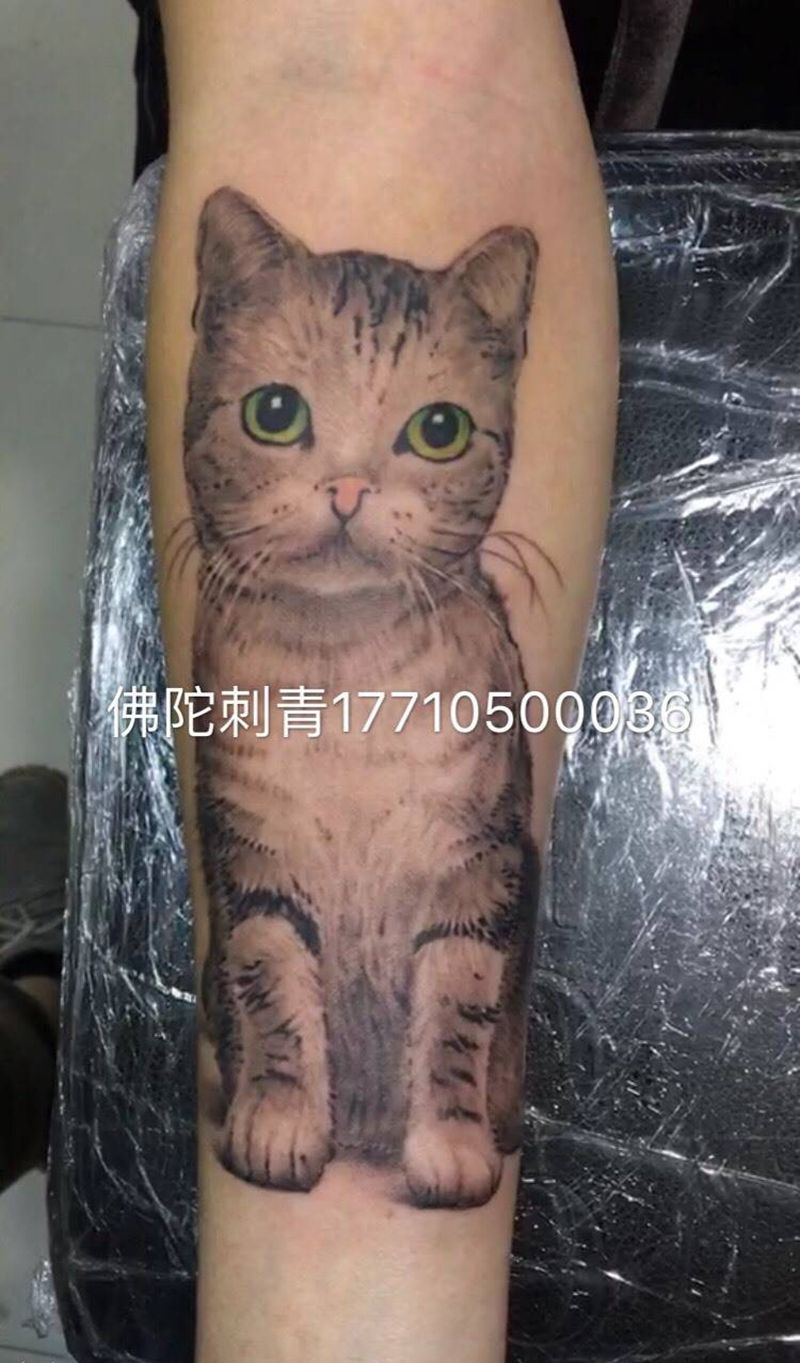 写实猫咪纹身图片_成品手稿手臂欧美习俗动物银川 宁夏佛陀刺青纹身图案