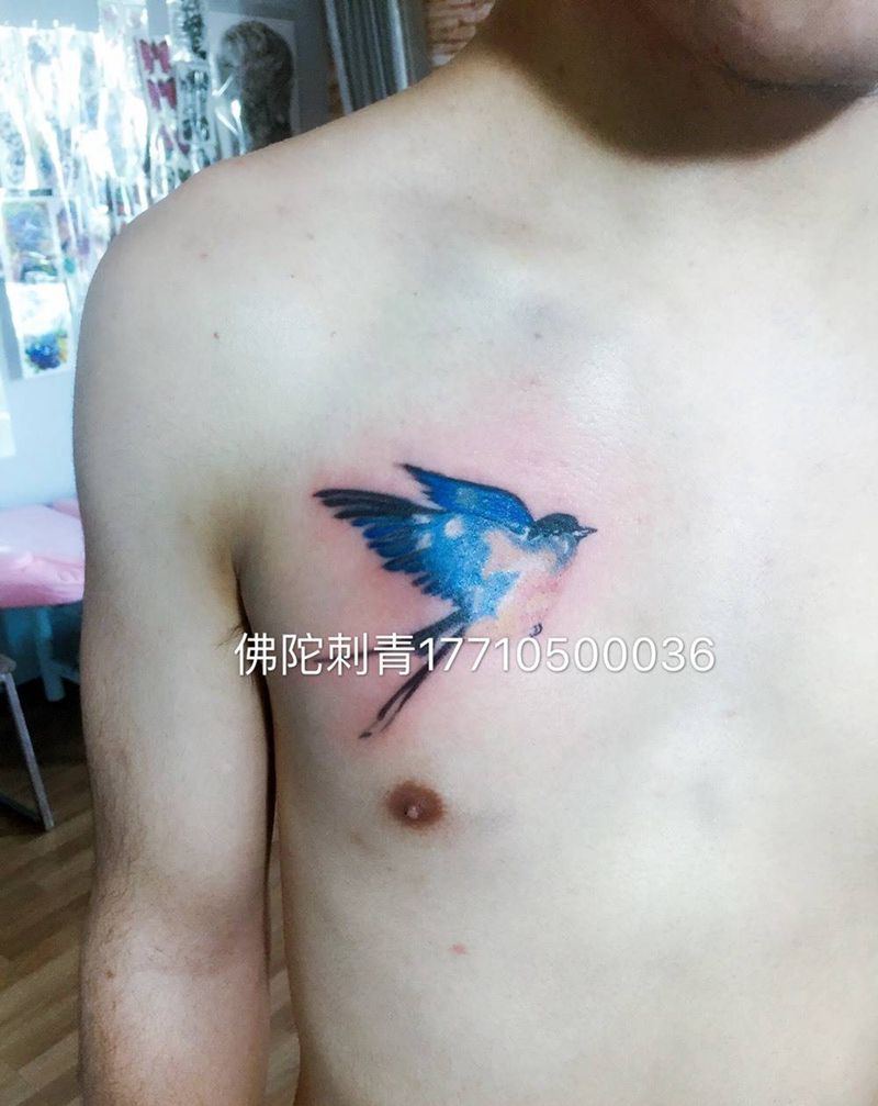 水彩燕子纹身图片_手稿成品胸部传统欧美动物银川 宁夏纹身图案