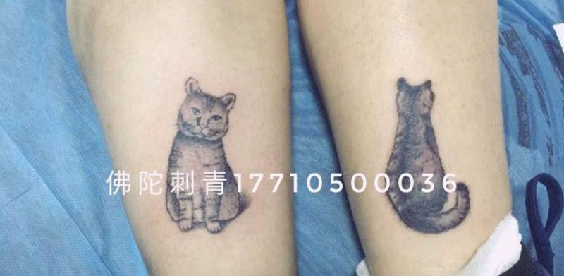 猫咪纹身图片_成品手稿腿部写实动物银川宁夏中国纹身图案