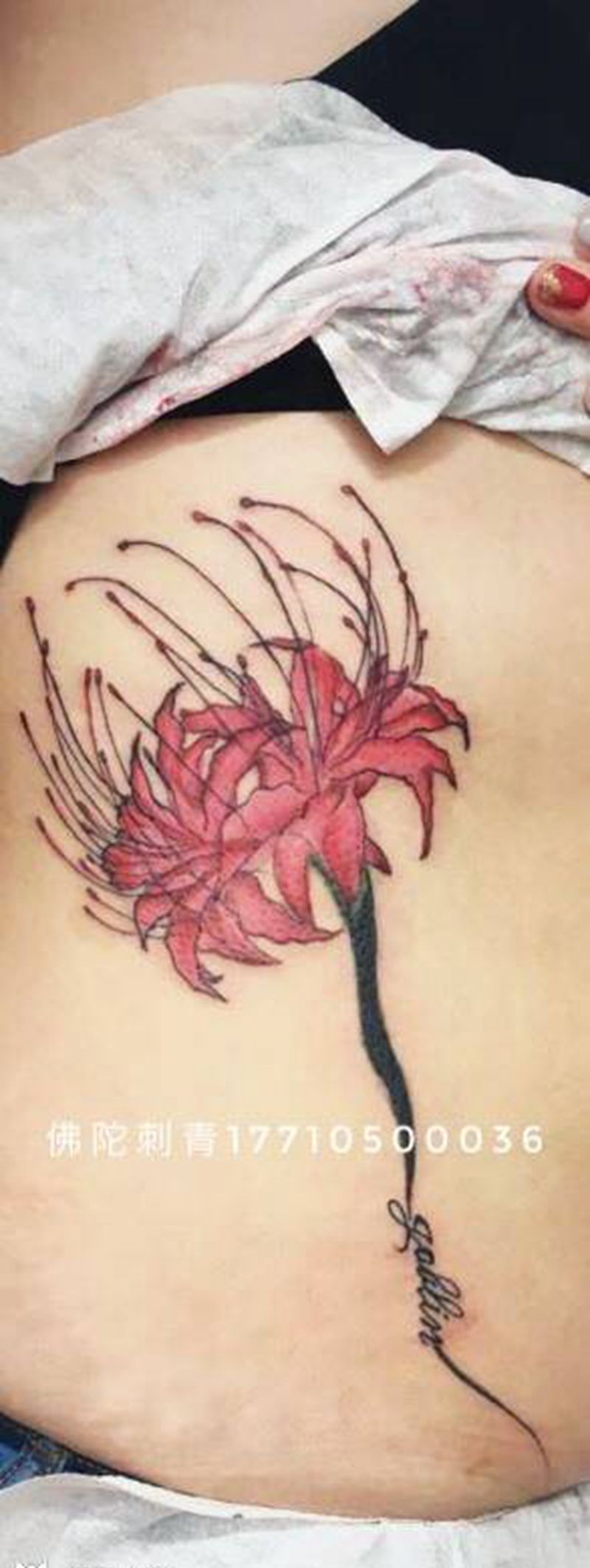 彼岸花纹身图片_成品手稿腰部清新植物宁夏银川文身 纹身图案