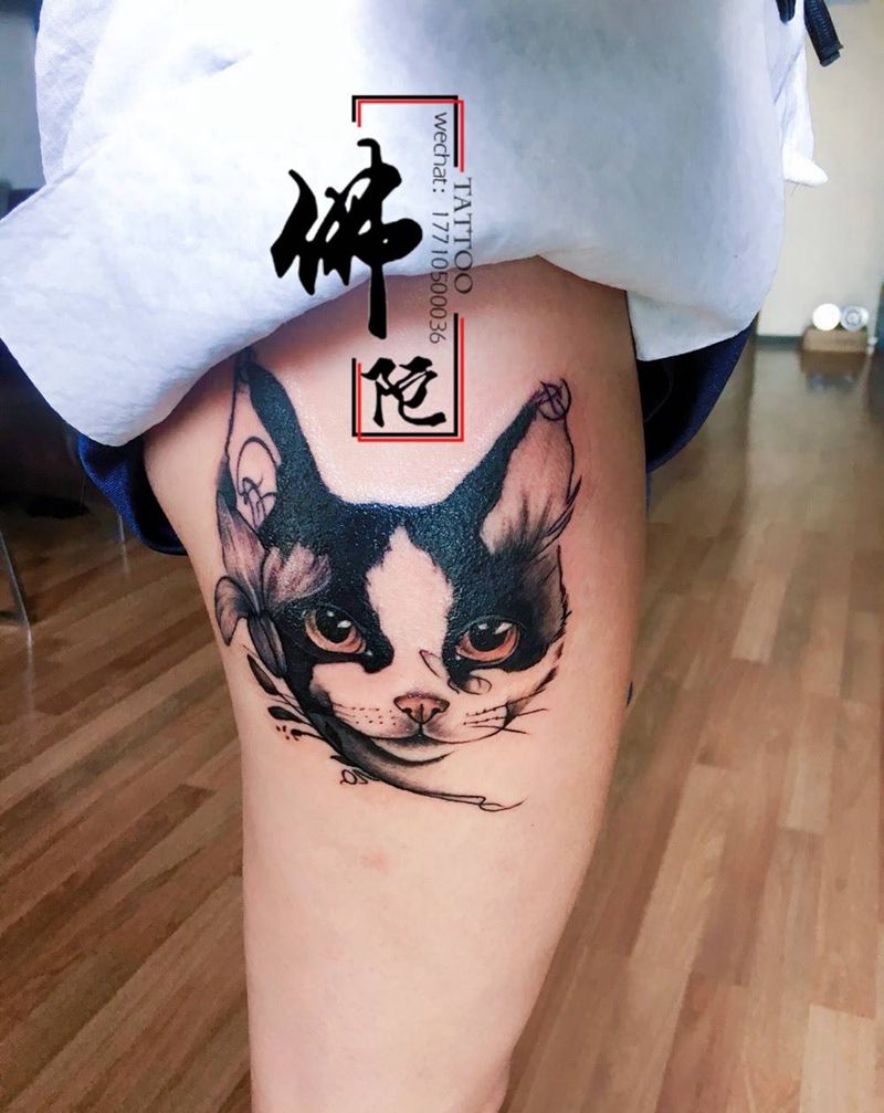 猫咪纹身图片_腿部Old School 宁夏银川纹身图案
