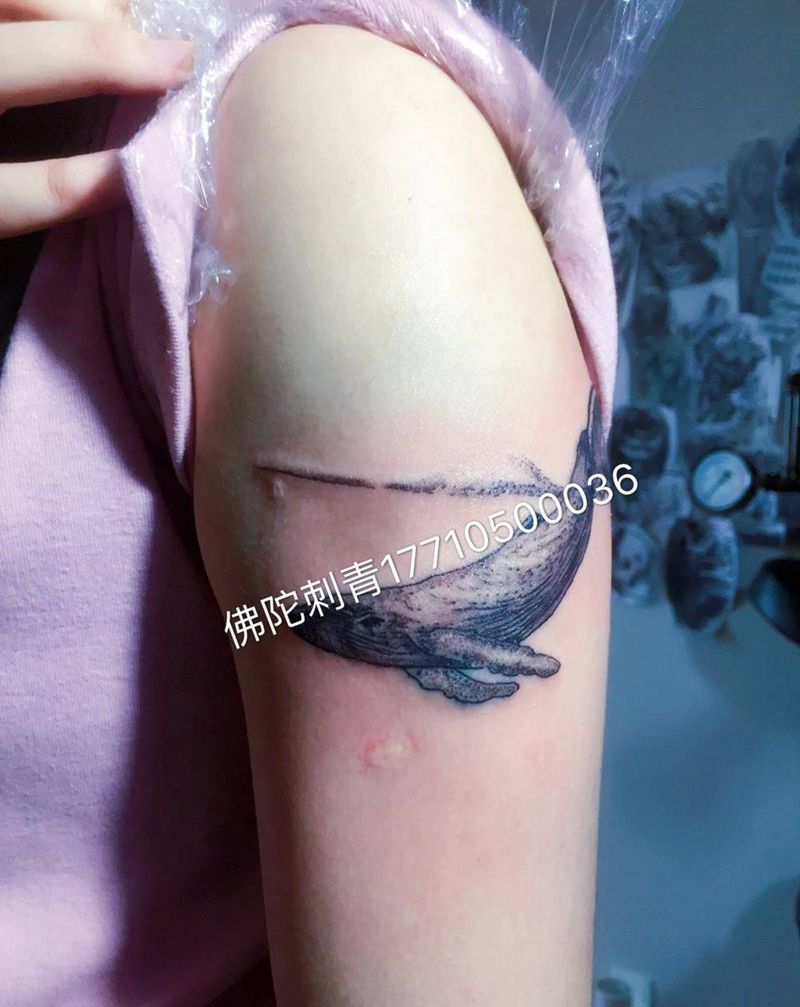 鲸鱼纹身图片_手稿成品写实欧美动物银川 宁夏佛陀刺青纹身图案
