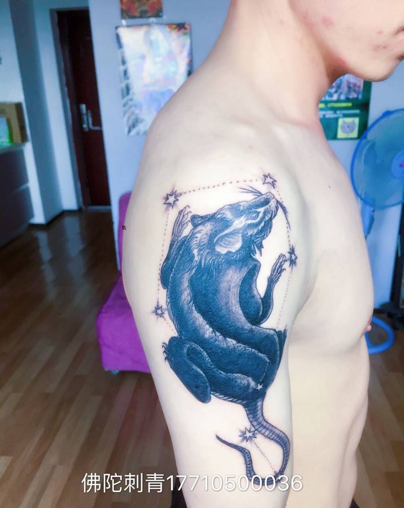 七星鼠纹身图片_成品手稿手臂传统动物宁夏银川中国纹身图案