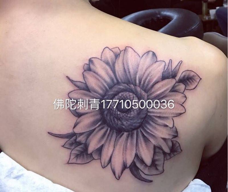 花纹身图片_成品手稿肩部背部清新写实植物银川宁夏纹身图案