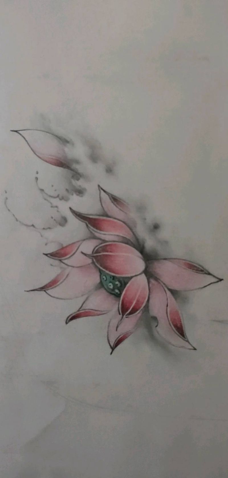 荷花（原创）纹身图片_新传统纹身图案