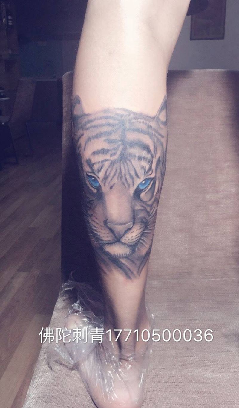 虎头纹身图片_成品手稿腿部写实国画动物宁夏银川文身 纹身图案