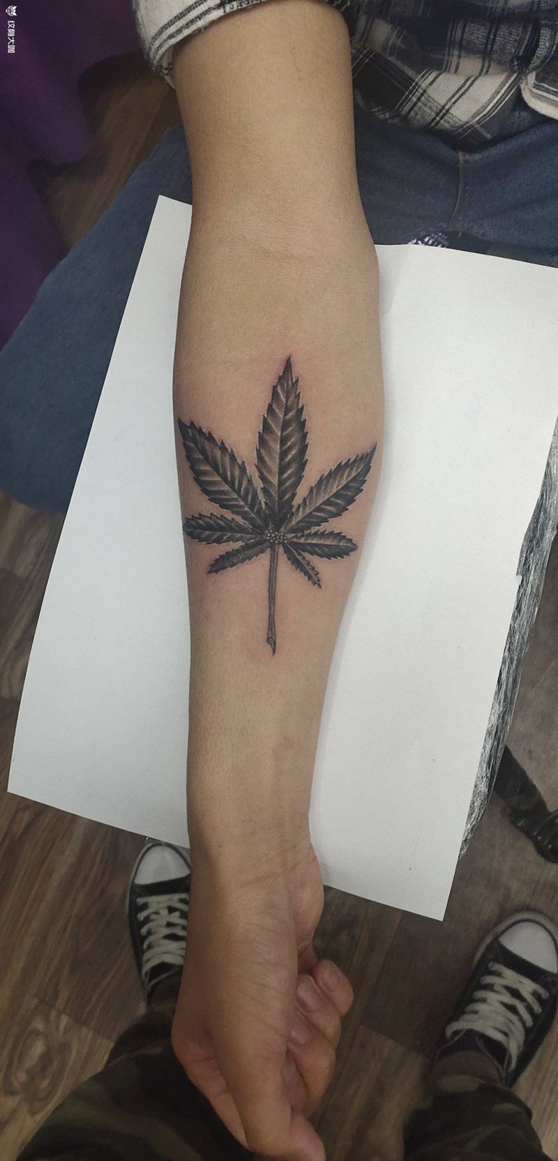 麻叶纹身图片_手臂小清新纹身图案