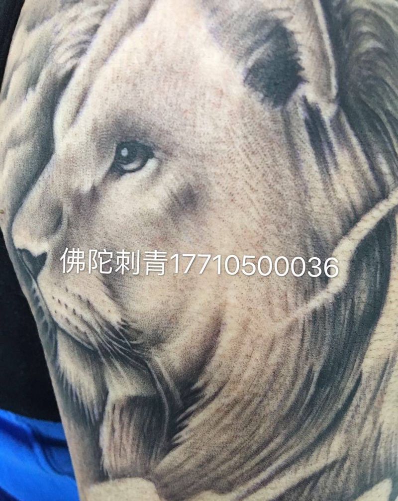 写实狮子纹身图片_成品手稿手臂手部欧美写实动物原创静物清新纹身图案