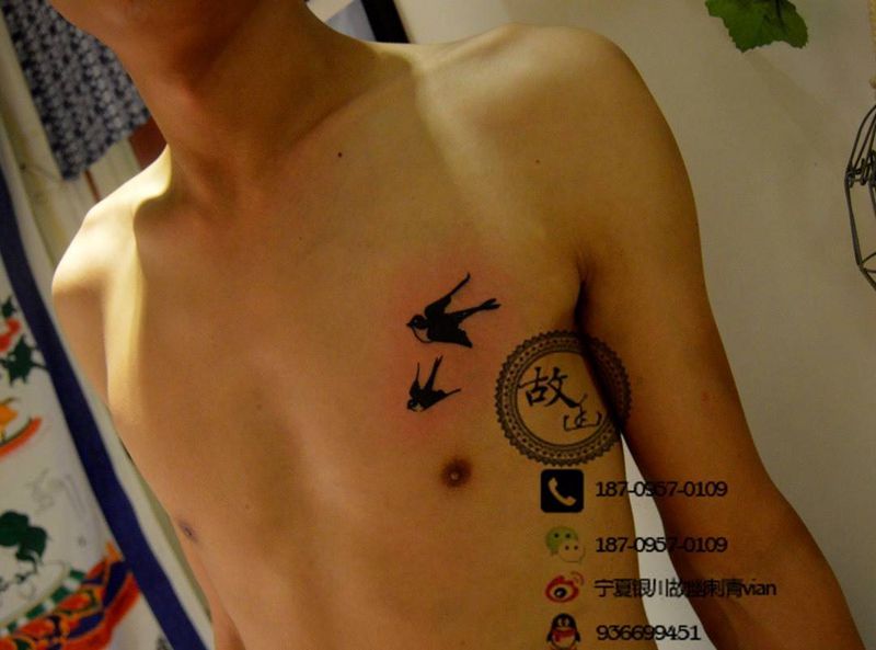 小燕子纹身图片_成品胸部清新动物纹身图案