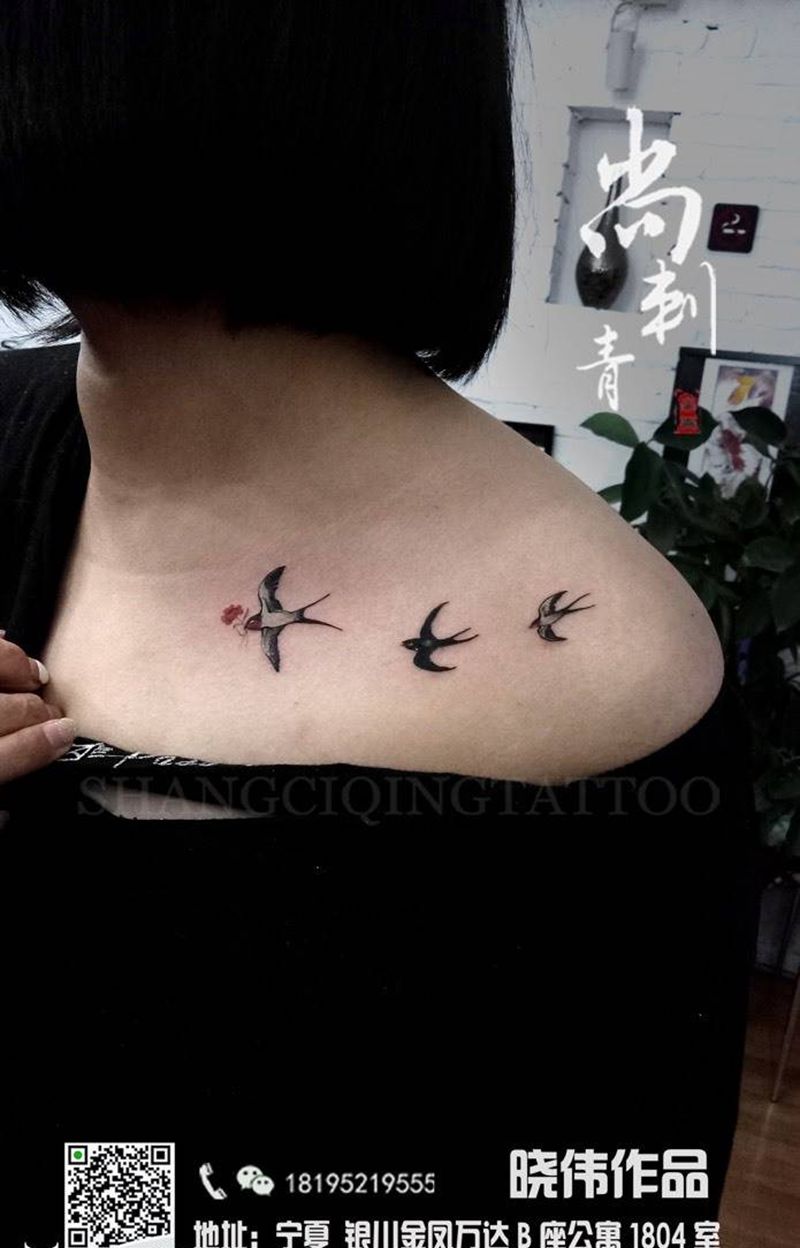 小燕子纹身图片_成品胸部欧美清新动物纹身图案