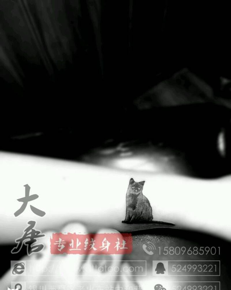喵纹身图片_￥200纹身图案