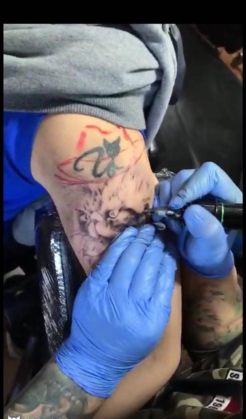 遮盖纹身图片_成品手臂欧美写实动物原创纹身图案